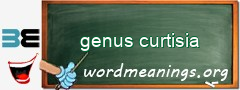 WordMeaning blackboard for genus curtisia